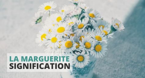 La marguerite : symbole & signification | Fleur&Fleuri Daisy Symbolism Meaning, What Do Flowers Symbolize, Faust Marguerite, Marguerite Duras Quotes, Marguerite De Valois, Reiki, Daisy