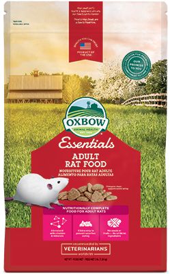 Essentials - Adult Rat Food | Oxbow Animal Health Pet Rat Cages, Rat Food, Young Rabbit, Guinea Pig Food, Pig Food, Rat Cage, Small Animal Food, Animal Health, Animal Science