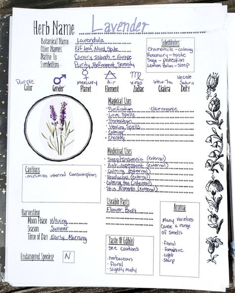 Book Of Shadows Pages, Witchcraft Herbs, Tarot Significado, Witchcraft Books, Grimoire Book, Wiccan Spell Book, Magick Book, Witchcraft Spell Books, Witch Spell Book