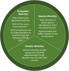 Differences between 3 types of biodiversity👇 https://biologymam.com/differences-between-genetic-diversity-species-diversity-and-ecosystem-diversity/ Types Of Biodiversity, Genetic Diversity, Genetic, Ecosystem, Quick Saves