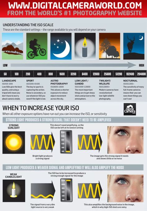 20 Best Photography Cheat Sheets & Infographics » ExpertPhotography Iso Photography, Shutter Speed Photography, Manual Photography, Iso Settings, Digital Photography Lessons, Low Light Photography, Nikon D5200, Camera World, Photography Cheat Sheets