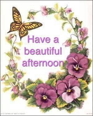 Happy Sunday, Have A Great Day, A Heart, Butterflies, Quotes, Flowers