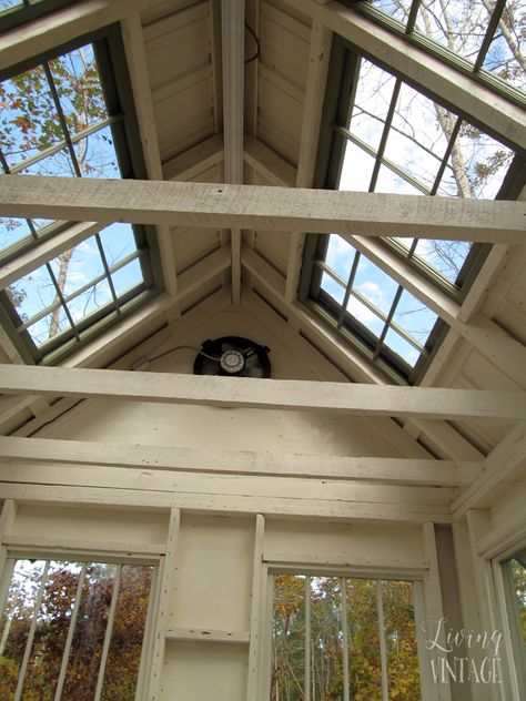 reclaimed windows in the roof of this cute little greenhouse - see more photos @ Living Vintage Green House Roof Ideas, Greenhouse Roof Ideas, Greenhouse Roof, Greenhouse Living, Vintage Greenhouse, Converted Shed, She Shed Interior, Greenhouse Windows, Farm Dream