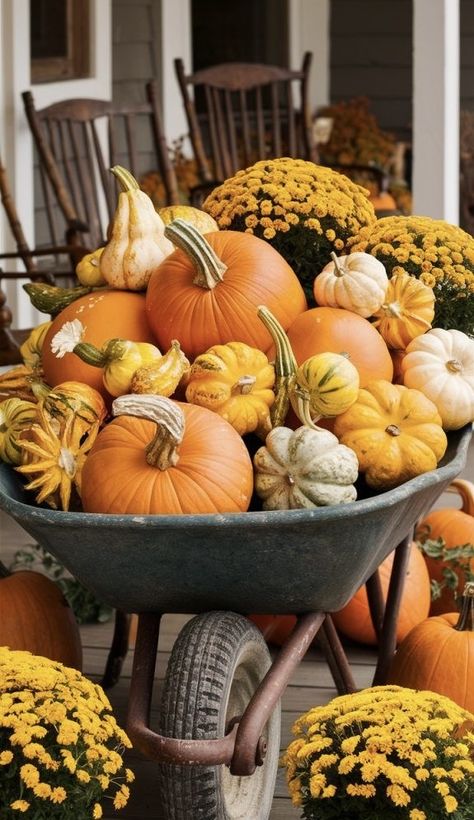 Patio Fall Decor, Front Porch Fall Decor Ideas, Fall Porch Decor Ideas, Porch Fall Decor, Fall Yard Decor, Pumpkin Planter, Fall Porch Decor, Fall Mums, Porch Pumpkins