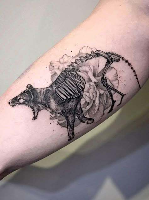 Extinction is forever - thylacine tattoo inspiration Apollo Tattoos, Gloomy Flowers, Skull Jaw, Waist Tattoos, Trending Tattoos, Funky Tattoos, Prison Tattoos, Tasmanian Tiger, 4 Tattoo