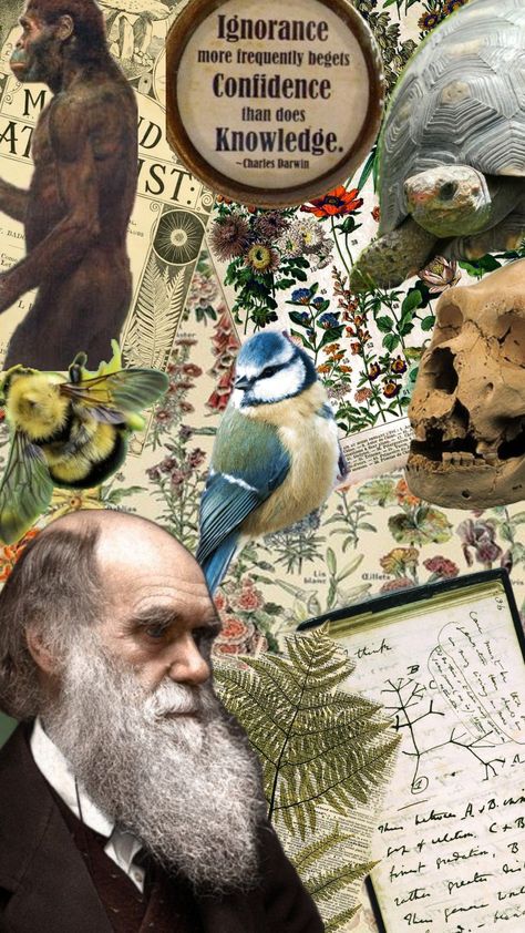 #naturalhistory #charlesdarwin #evolution #biology Charles Darwin, Natural History, Biology, Evolution, Thing 1, Pins