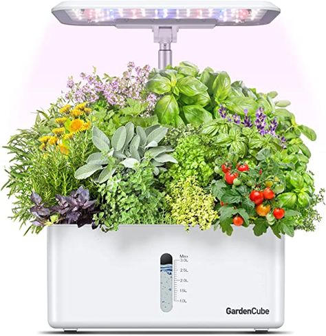 GardenCube Hydroponics Growing System Garden: 8 Pods Indoor Herb Garden with Grow Light Plants Germination Kit Quiet Automatic Hydroponic Height Adjustable - Gardening Gifts for Women Kitchen White Herb Garden Kit, Indoor Herb, Herb Garden Design, Hydroponic Growing, Grow System, Garden Kit, Led Grow Light, Indoor Herb Garden, Herbs Indoors