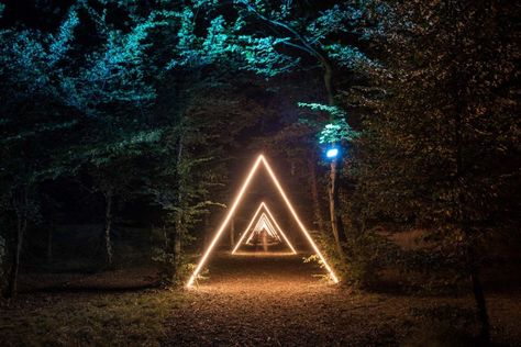 Forest Speakeasy, Forest Festival, Forest Light, Party Mode, Festival Ideas, Festival Inspiration, Festival Decor, Festival Design, Music Design