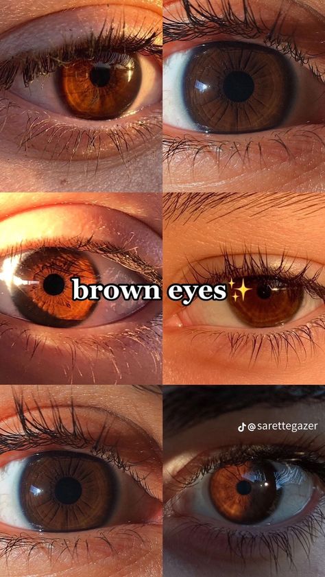 Pretty Eyes Color, Brown Eyes Aesthetic, Eye Color Chart, Beautiful Eyes Color, Not Aesthetic, Male Eyes, Dark Brown Eyes, Aesthetic Eyes, Gorgeous Eyes