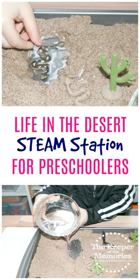 Desert Habitat Activities, Desert Activities For Preschool, Science Preschool Activities, Desert Activity, Desert Animals Activities, Desert Preschool, Desert Activities, Desert Crafts, Desert Habitat