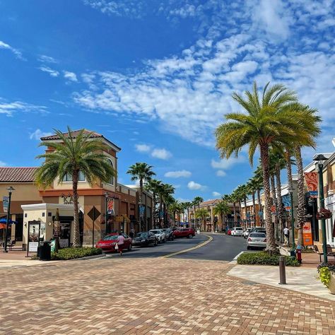 Wesley Chapel, Florida, Shops at Wiregrass. Wesley Chapel Florida, Florida Christmas, Tampa, Florida, Christmas, Quick Saves