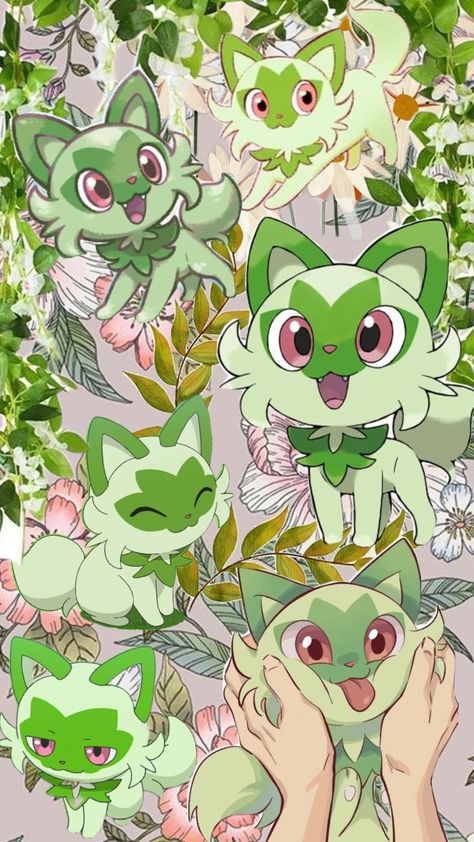 Sprigatito Pokemon Wallpaper, Pokémon Iphone Wallpaper, Sprigatito Pokemon, Plant Pokemon, Green Pokemon, Descendants 1, Cartoon Wallpaper Iphone, Aesthetic Images, Pokemon Art