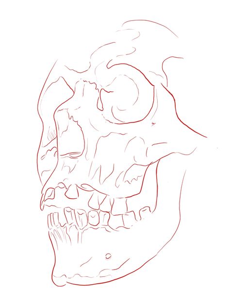 Sewed Mouth Drawing, Skull Tattoo Outline, Skull Tattoo Stencil, Skull Tattoo Sketch, Horror Reference, Skull Drawing Tattoo, Salmon Drawing, Skull Outline, Skull Drawing Sketches