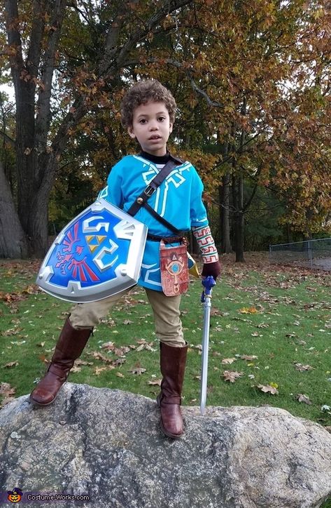 Breath Of The Wild Costume, Diy Link Costume Kids, Link From Zelda Costume, Legend Of Zelda Link Costume Diy, Diy Link Breath Of The Wild Costume, Link Halloween Costume, Legend Of Zelda Halloween Costumes, Zelda Cosplay Breath Of The Wild, Link Breath Of The Wild