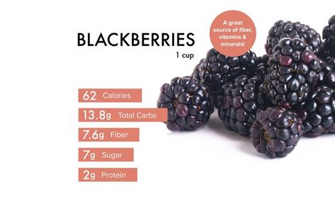 Blackberry Nutrition Facts, Blackberry Benefits, Healthy Syrup, How To Freeze Blackberries, High Fiber Fruits, Watermelon Health Benefits, Fiber Fruits, Blackberry Recipes, Storing Fruit