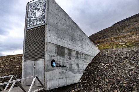 Global Seed Vault Svalbard Svalbard Seed Vault, Types Of Seeds, Seed Vault, Longyearbyen, Tourist Sites, Seed Bank, Places In The World, Interesting Reads, Architecture Illustration