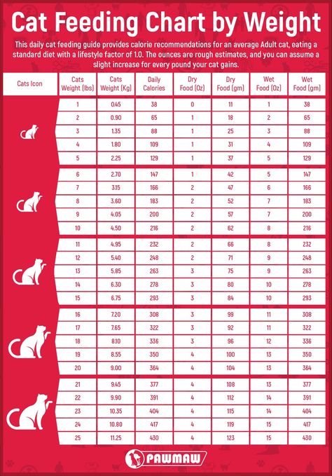 Cat Feeding Chart, Cat Feeding Schedule, Cat Age Chart, Homemade Cat Food, Food Cat, Cat Nutrition, Kitten Names, Cat Ages, Pet Play