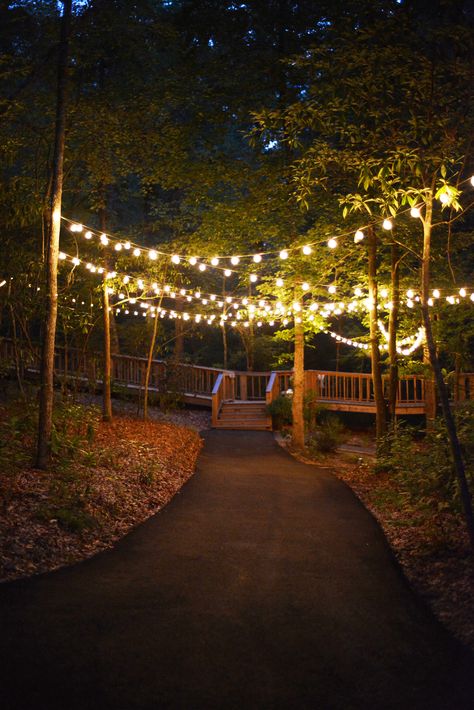 Lit Walkway Pathways, Lighted Pathway Walkways, Candles Pathway, Lighted Pathway, Wood Pathway, Cheap Fire Pit, Kitchen Cabinet Makeover, Update Kitchen, Wood Path