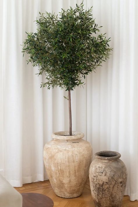 Olivier En Pot, Indoor Olive Tree, Living Room Plants Decor, Room Plants, Farmhouse Vase, Faux Olive Tree, Living Room Plants, Wood Trunk, Minimalist Interior Style