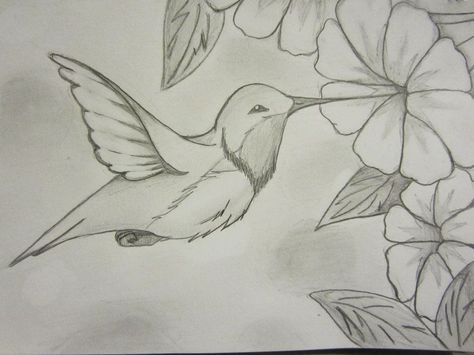 Hummingbird Drawings | Hummingbird Sketch by WOLFDEMON001 on deviantART Hummingbird Sketch, Hummingbird Drawing, Hummingbird Painting, Bird Sketch, Bird Drawings, A Pencil, Drawing Tutorials, Art Drawings Sketches, Pencil Drawing