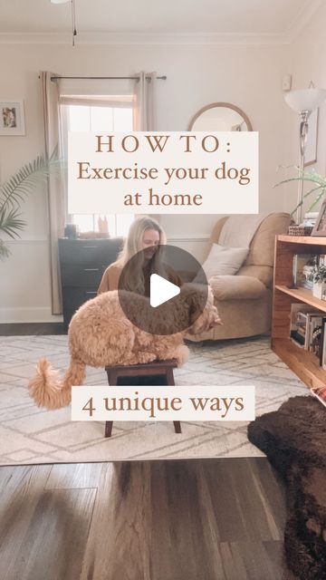 How To Tire Out Your Dog Indoors, Puppy Busy Activities, Games To Play With Your Dog, Dog Enrichment Ideas, Puppy Time, Impulse Control, Training Ideas, Dog Enrichment, Potty Training Puppy