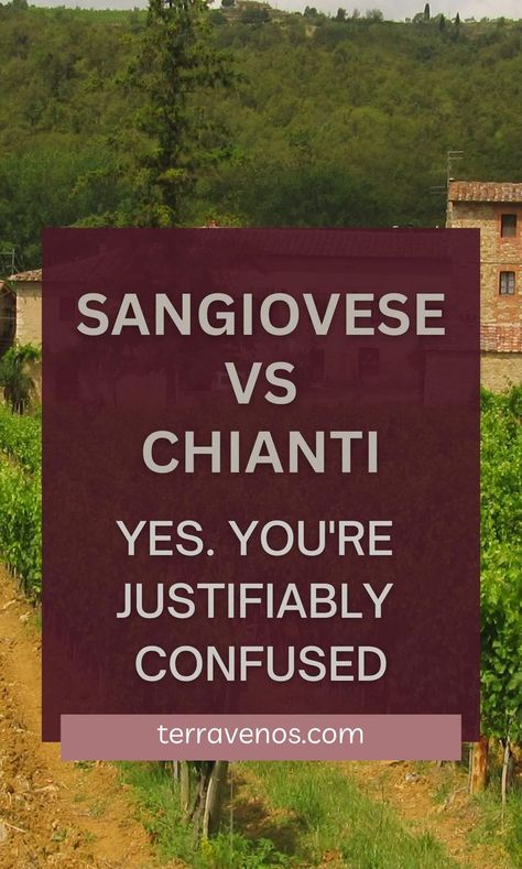 Sangiovese is the name of the grape. Chianti's the name of the wine. Here's what you need to know. #wine #winelover #italianwine Wine Facts, Grape Uses, Types Of Wine, Red Grapes, Italian Wine, Wine Making, Wine Lovers, Red Wine, Grapes