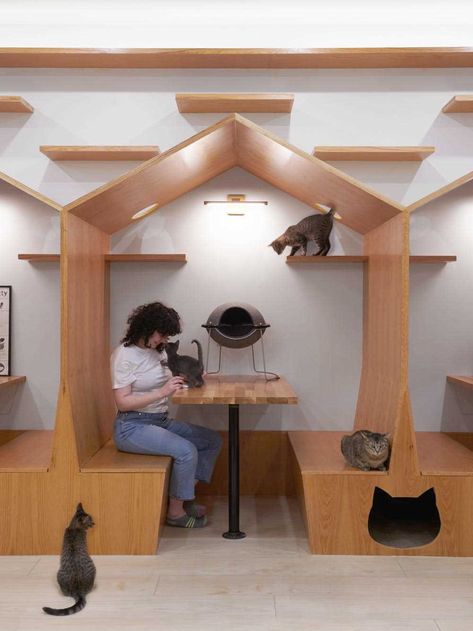 The interior of Meow Parlour, a modern cat cafe in New York. Cafe Area Design, Cafe In New York, Cats And Humans, Pet Cafe, E Ink Display, Handmade Cat Toys, Cafe Seating, Eichler Homes, Dog Cafe