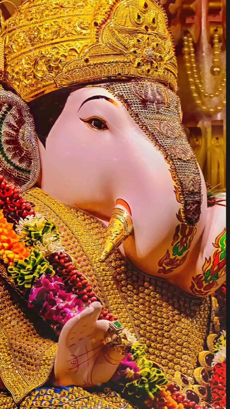 Ganpati Songs, Ganesh Ji Images, Ganpati Bappa Wallpapers, Ganpati Bappa Photo, Happy Ganesh Chaturthi Images, Hindu Rituals, Ganesh Chaturthi Images, Bappa Morya, Cute Good Morning Images