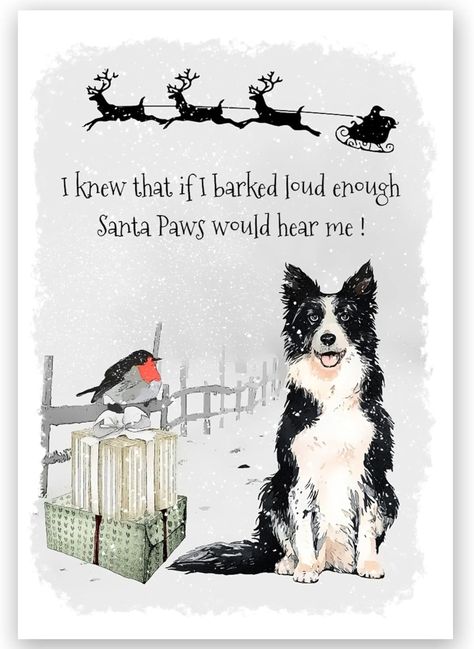 Border Collie Dog Christmas Card, Funny Border Collie Christmas Scene Xmas Card. : Amazon.co.uk: Stationery & Office Supplies Border Collie Christmas, Snowy Christmas Scene, Christmas Card Funny, Charity Christmas Cards, Country Lane, Dog Christmas Card, Snowy Christmas, Fox Gift, Greeting Card Envelope