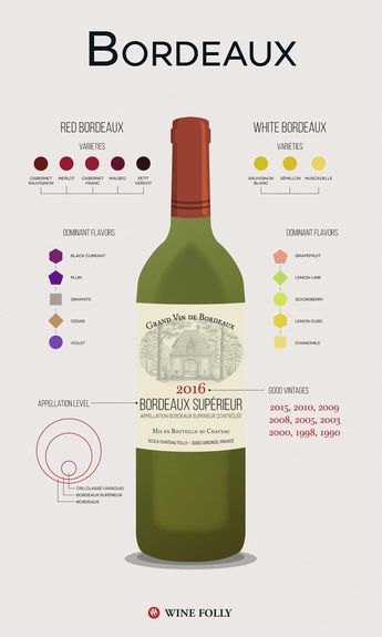 "Bordeaux". Wine Infographic, Wine Chart, Wine Tasting Notes, Wine 101, Wine Folly, Wine Map, Sweet White Wine, Wine Knowledge, Bordeaux Wine