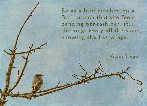 Be as a bird perched on a frail branch that she feels bending beneath her, still she sings away all the same, knowing she has wings. - Victor Hugo Poet Victor Marie Hugo was a French poet, novelist, and dramatist of the Romantic movement. He is considered one of the greatest and best known French writers. Wikipedia Born: February 26, 1802, Besançon, France Died: May 22, 1885, Paris, France Full name: Victor Marie Hugo Education: Lycée Louis-le-Grand Buried: Panthéon, Paris, France Bird Lover Quotes, Embrace Life Quotes, Quotes Literature, Bird On A Branch, Bird Quotes, Happy Hippie, Fairy Book, Embrace Life, Bird Perch