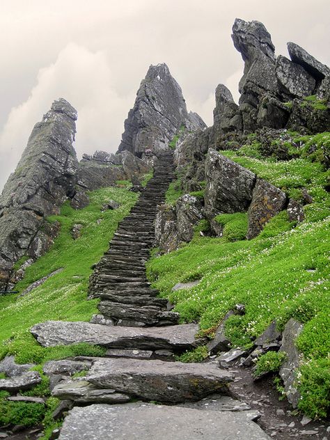 Stairs leading to Skellig Michael Monastery, Ireland (by dymet). Skellig Michael, Alam Yang Indah, Ireland Travel, Photo Reference, Pretty Places, Dream Vacations, Beautiful World, Beautiful Landscapes, Places To See