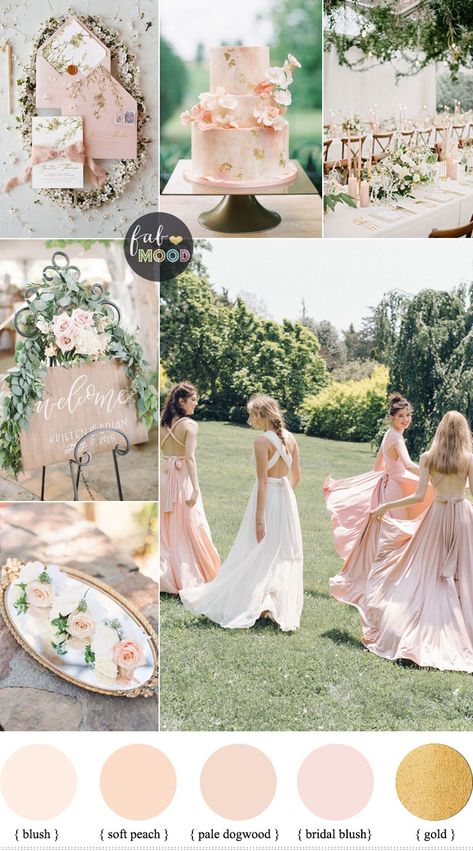 Pink Pastel Wedding Theme, Pink Peach Wedding Theme, Garden Wedding Theme Ideas, Peach And Blush Wedding, Peach Blush Wedding, Peach Wedding Theme, Garden Wedding Theme, Pale Dogwood, Blush Weddings