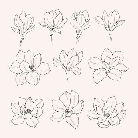 Download this Premium Vector about Set of hand drawn magnolia flowers, and discover more than 15 Million Professional Graphic Resources on Freepik Individual Flower Drawing, Drawing Of Magnolia Flower, Magnolia Flower Design, Magnolia Flower Embroidery, Easy Magnolia Drawing, Magnolia Flower Line Drawing, Drawing Magnolia Flowers, Magnolia Flower Sketch, Floral Line Drawing Simple