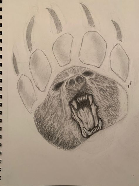 Grizzly Bear Drawing Sketches, Drawing A Bear, Sun Bear Drawing, Angry Bear Drawing, Native American Drawing Pencil Sketches, Grizzly Bear Sketch, Bear Drawing Sketches, Drawing Bears, Drawing Of A Bear