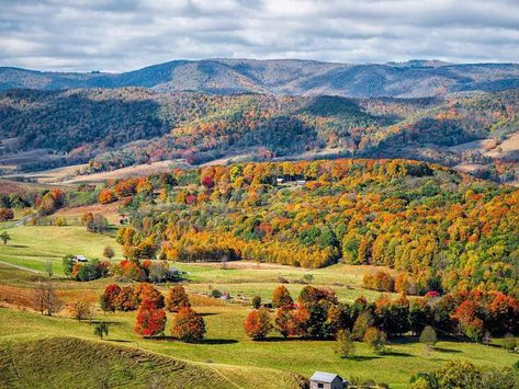 Fall Foliage Map, Virginia Fall, Virginia Mountains, Virginia Vacation, Chincoteague Island, Unique Vacations, States In America, Appalachian Mountains, Tree Forest