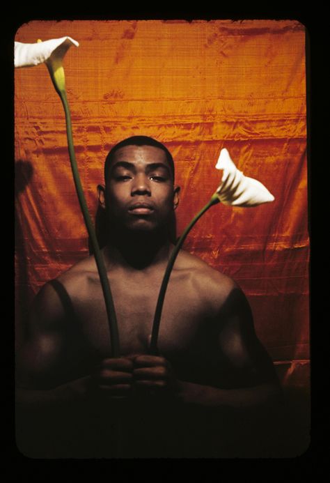 Alvin Ailey, Black Photography, Photographic Artist, Royal Ballet, Black Culture, Photography Inspo, Black Is Beautiful, Black Art, New Yorker