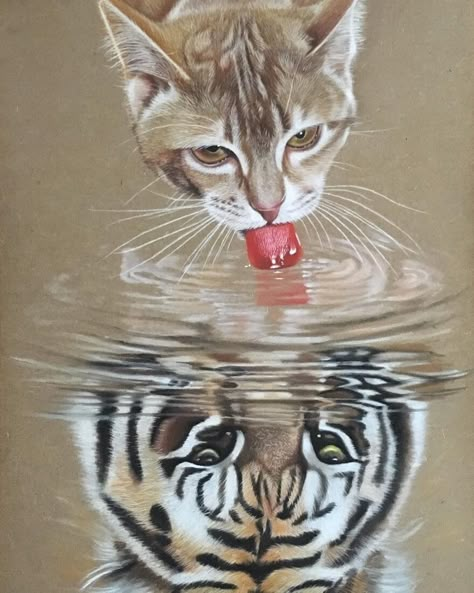 Grey And White Cat, Reflection Art, Drawing Animals, A Tiger, Gcse Art, Realistic Drawings, Animal Wallpaper, Wild Animal, Cat Drawing