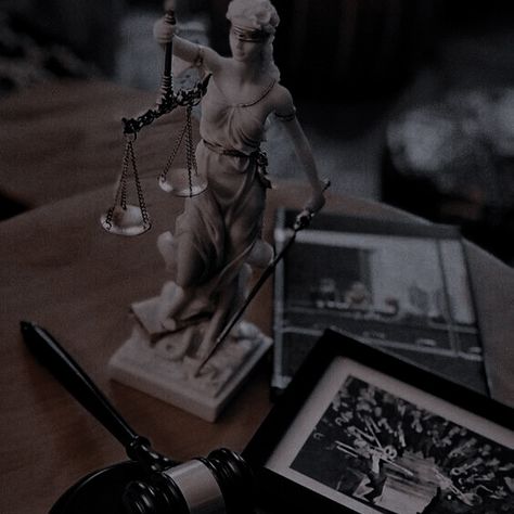 Aesthetic Law, Lawyer Aesthetic, Future Lawyer, Law School Life, Law School Inspiration, Women Lawyer, Lady Justice, Law And Justice, Twisted Series