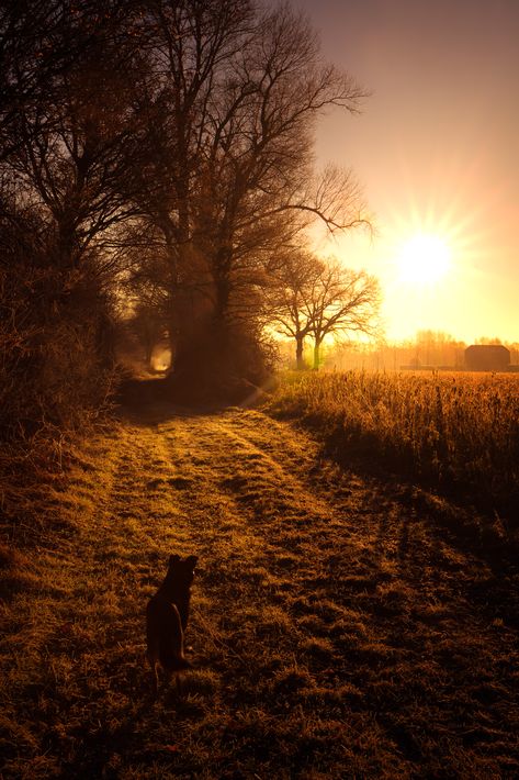 Gods Beautiful Creation, Watercolor Light, Dog Sun, Sun Dogs, Country Vibes, Golden Hour Photography, Paradise Garden, Medieval Aesthetic, Country Aesthetic