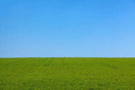 Free image of "Grass And The Sky Background" by Petr Kratochvil Japanese Toilet, Dreamcore Weirdcore, Blue Sky Background, Grass Field, Clear Blue Sky, Backgrounds Free, Green Grass, Image Hd, View Image