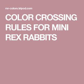 COLOR CROSSING RULES FOR MINI REX RABBITS Giant Rabbits, Mini Rex Rabbit, Show Rabbits, Flemish Giant, Raising Rabbits, Rabbit Breeds, Rex Rabbit, Rabbits, Small Pets