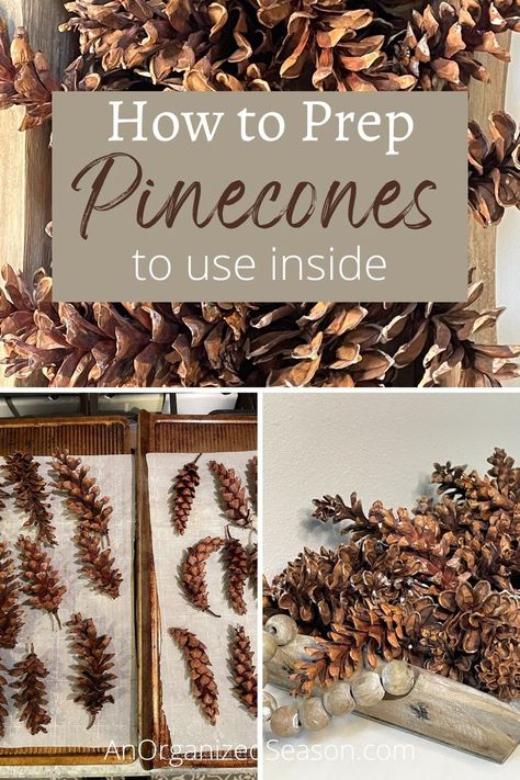 Pinecones on baking sheets and pinecones in a wood tray. Prepping Pinecones For Crafts, How To Use Pinecones For Decor, How To Open Pinecones, How To Preserve Pinecones, How To Dry Pinecones, Drying Pinecones In Oven, Diy Fall Decor With Pinecones, How To Bake Pinecones For Crafts, Huge Pinecone Crafts