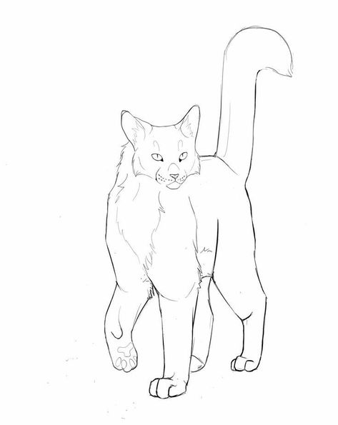 Several Cat, Lion King Drawings, Cat Template, Cat Drawing Tutorial, Cats Art Drawing, Cat Anatomy, Cat Coloring, Warrior Cat Drawings, Warrior Cats Art