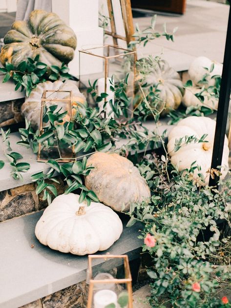 Rustic Pumpkin Decor Kast Events Fall Wedding Ideas at NC Wedding Venue The Parlour at Manns Chapel Maunder Rustic Pumpkin Decor, Fall Wedding Planning, Wedding Succulents, Bridal Party Bouquets, Fall Wedding Ideas, Fall Wedding Diy, Urban Wedding Venue, Rustic Pumpkin, Chapel Hill Nc