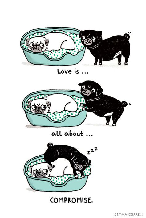 ✦Pug ❤️. Pug Quotes, Gemma Correll, Pugs And Kisses, Pug Art, Black Pug, Bd Comics, Pugs Funny, A Pug, Pug Lover