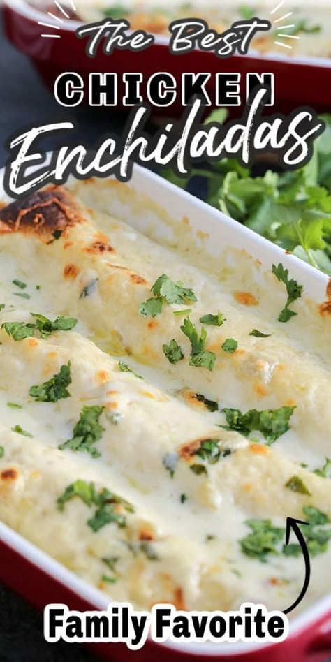 Chicken Enchiladas With Queso Blanco, Chicken Fajita Enchiladas Recipe, Quick Enchiladas, Easy Sour Cream Chicken Enchiladas, Best Chicken Enchiladas Ever, Authentic Enchilada Recipe, Fajita Enchiladas, Chicken Enchiladas Suiza, Creamy Enchilada Sauce