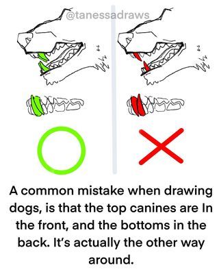 Art • Instagram Art Advice, Drawing Expressions, Wow Art, Anatomy Reference, Anatomy Art, Art Tutorials Drawing, Digital Art Tutorial, Art Drawings Sketches Simple, Drawing Reference Poses