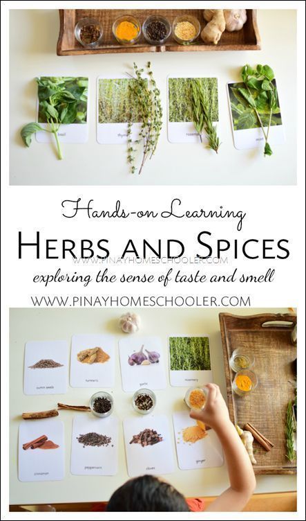 Explore the senses through this Montessori inspired activity for the home or classroom #montessori At Home Montessori Classroom, Montessori Elementary Classroom, Classroom Montessori, Learning Herbs, Montessori Trays, Homeschool Montessori, Montessori Science, Sense Of Taste, Montessori Lessons