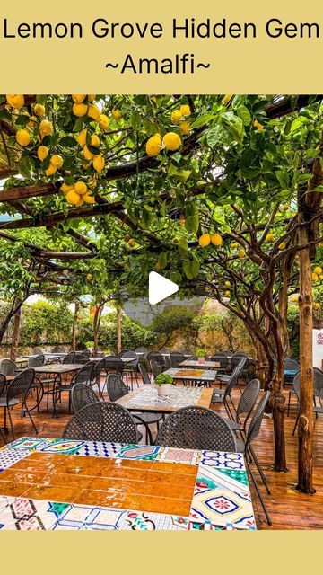 Mariya Rigby | Travel & Food | NYC on Instagram: "🍋 Underneath a canopy of real lemon trees is a delicious hidden oasis in the bustling town of Amalfi! This beautiful restaurant offers a gorgeous setting that creates an unforgettable dining experience.

🍕The pizza was spectacular, made with fresh ingredients, and the atmosphere was peaceful and authentic. Dining in this charming courtyard feels like a magical escape in the heart of Amalfi.

✨Come early to get a seat, we came at 12:30, by the time we left, the place was full

📍Pizzeria Donna Stella, Amalfi

➡️Follow for more tips @travelswithmr

#Italy #italia #amalfi #traveltips #amalficoast #restaurantsinamalfi  #lemongrove #amalfilemontrees #amalfieats

Where to eat in Amalfi | Delicious Restaurants in Amalfi Coast | Affordable Restau Amalfi Coast Restaurants, Coast Restaurant, Food Nyc, Hidden Oasis, Lemon Trees, Lemon Grove, Nyc Food, Restaurant Offers, Lemon Tree